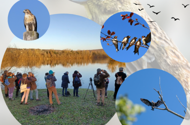 Rencontres Ornithologiques de Printemps 2025