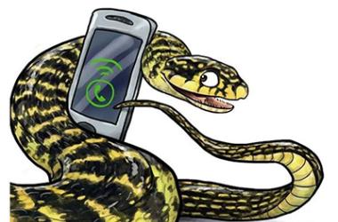 Bilan 2025 du dispositif SOS Serpents en Île-de-France