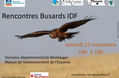 Rencontres Busards d'Île-de-France