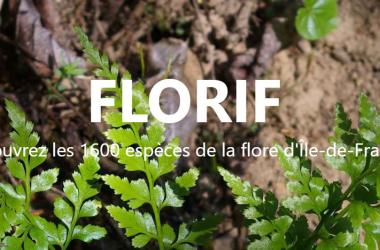 Nouvelle version de l'outil d'aide à la détermination de la flore francilienne, FLORIF