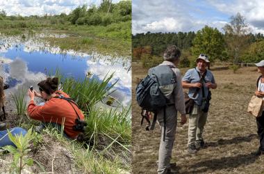 Lancement des pré-inscriptions Écoles régionales d'entomologie et de botanique 2025