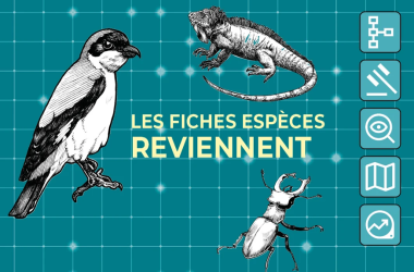  INPN : plusieurs services de nouveau accessibles