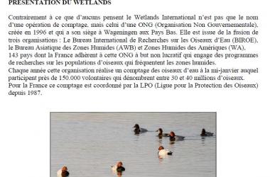 Bilan Wetlands Essonne 2025