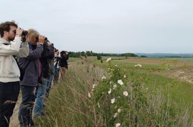 Pré-inscriptions Écoles d'Herpétologie, d'Ornithologie et de Botanique 2026