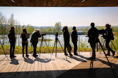 Lancement des pré-inscriptions à l'École régionale d'ornithologie 2020