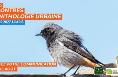 Appel à contribution - 1ères Rencontres d'ornithologie urbaine