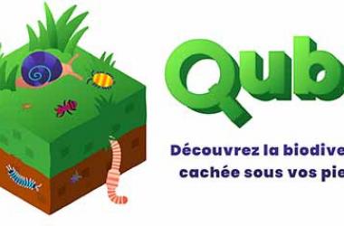 QUBS : le nouveau programme de sciences participatives sur la biodiversité des sols !