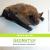 Nouveautés GeoNat'îdF Juillet 2026