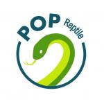 POPReptile, un programme national de suivi des populations de reptiles