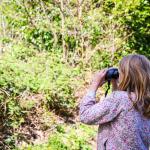 Faune vertébrée : Observer sans déranger, un rappel essentiel