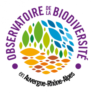 #Logo